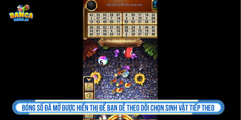 Theo dõi bảng số trong Bắn Cá Bingo