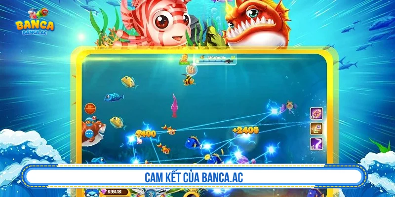 Vai trò của Dezombiecat.me trong việc khuyến khích chơi có trách nhiệm