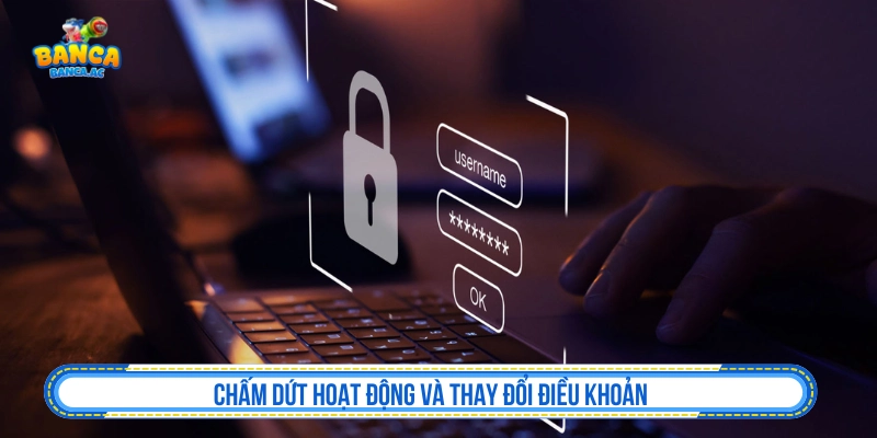 Thay đổi và chấm dứt quyền sử dụng tại Dezombiecat.me