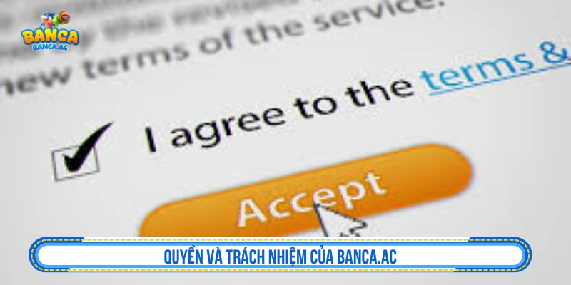 Quyền và trách nhiệm của Dezombiecat.me